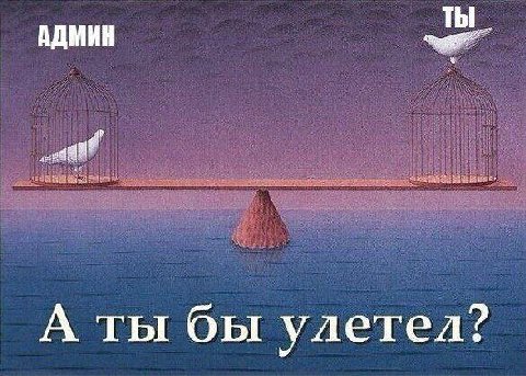 АДМИН ТЫ А ты бы улетел?