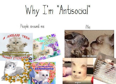 People around me Me Tes Я i у 4 4 че СТО 3$ 4