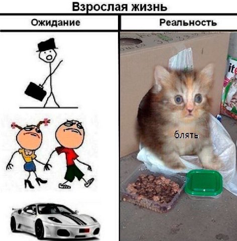 Взрослая жизнь Ожидание Реальность 9.