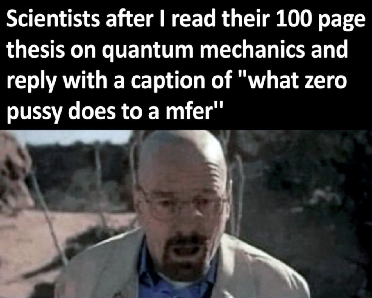 Scientists after read their 100 page thesis on quantum mechanics and reply with a caption of "what zero pussy does to а тег"