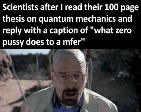 Scientists after read their 100 page thesis on quantum mechanics and reply with a caption of "what zero pussy does to а тег"