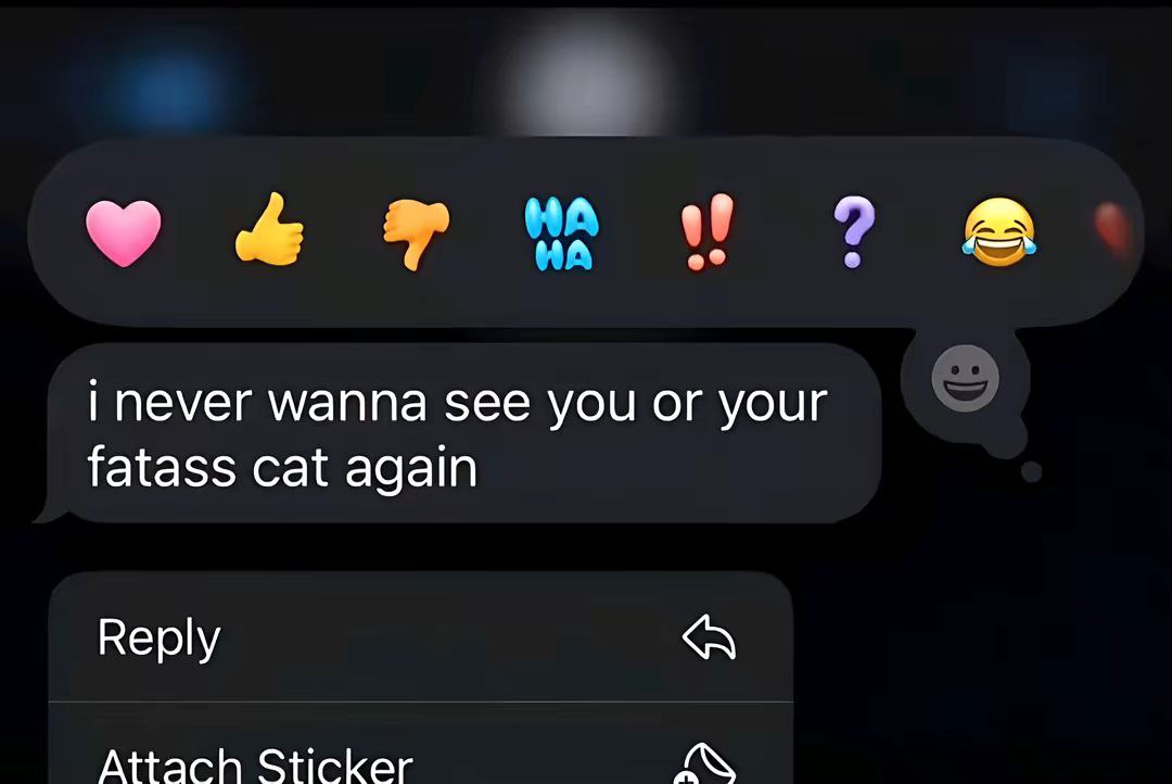 never wanna see you or your fatass cat again Reply Attach Sticker