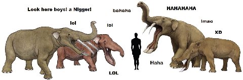 Look here boys! a Nigger! bahaha НАНАНАНА Imao LOL 4 Pan