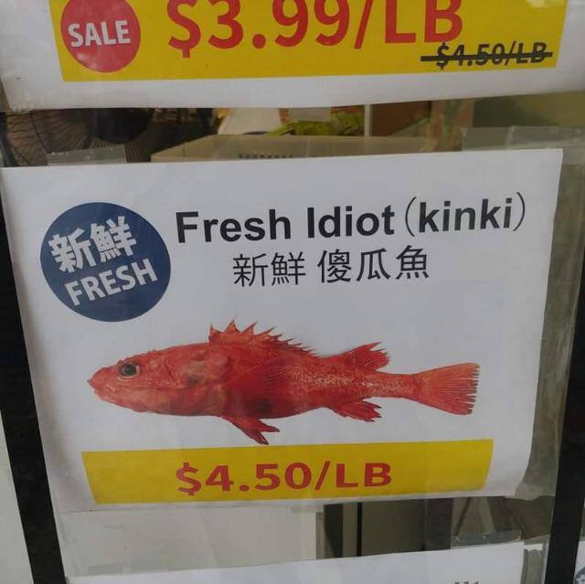 Idiot (kinki)
