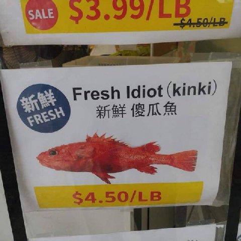 Idiot (kinki)