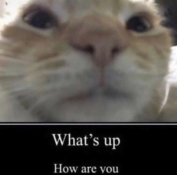 3 What’s up How are you
