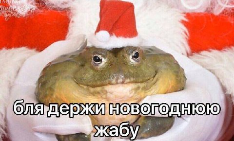 жабу