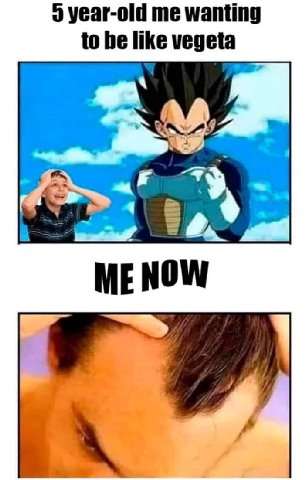 year-old me wanting to be like vegeta 4