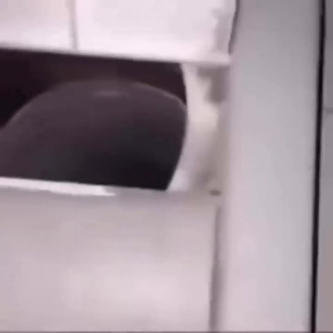 мем