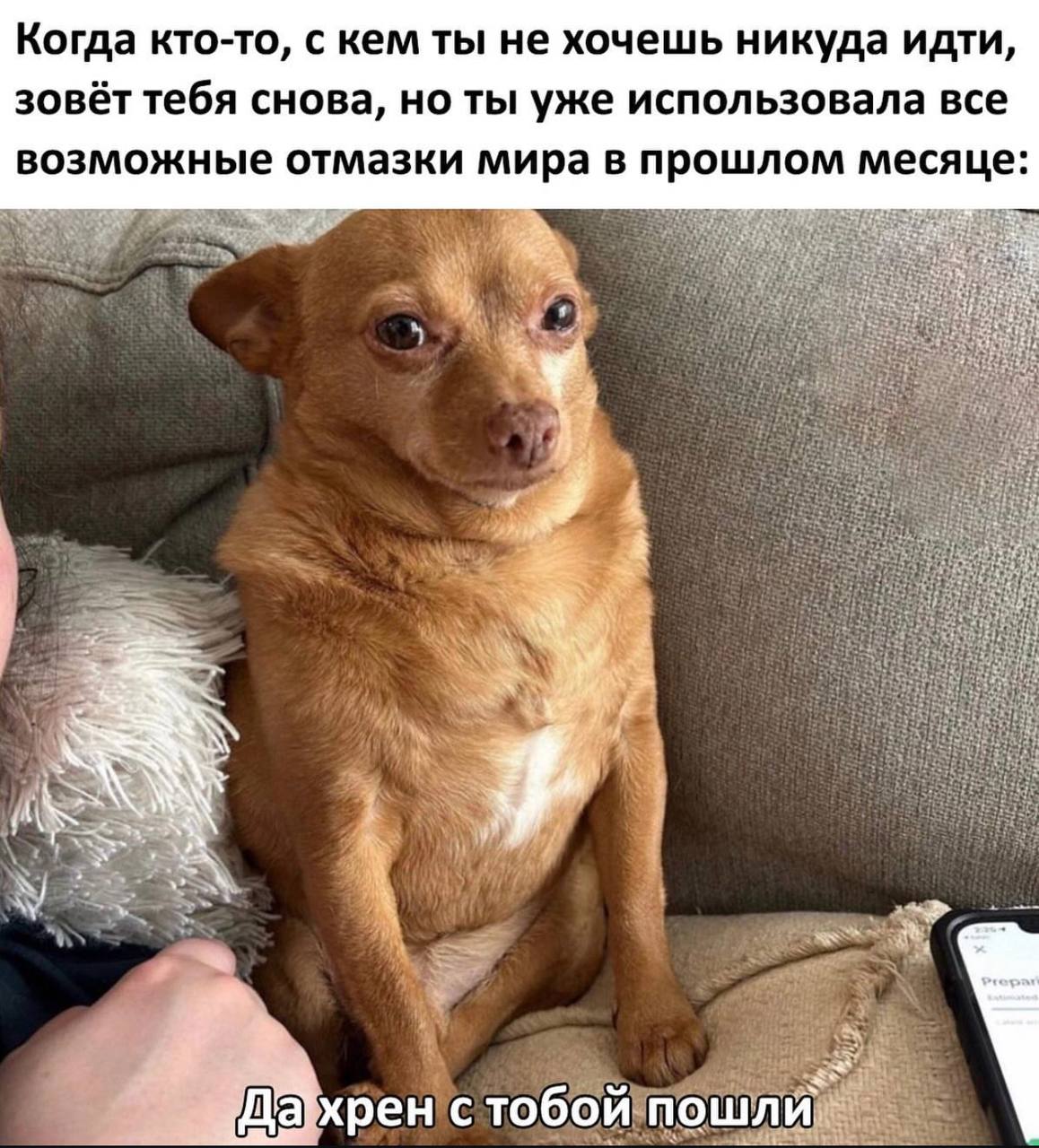 Когда кто-то, с кем ты не хочешь никуда идти, зовёт тебя снова, но ты уже использовала все возможные отмазки мира в прошлом месяце: i хрен стобой пошли”
