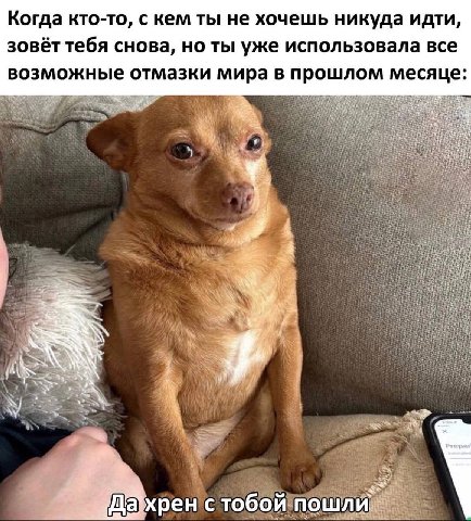 Когда кто-то, с кем ты не хочешь никуда идти, зовёт тебя снова, но ты уже использовала все возможные отмазки мира в прошлом месяце: i хрен стобой пошли”