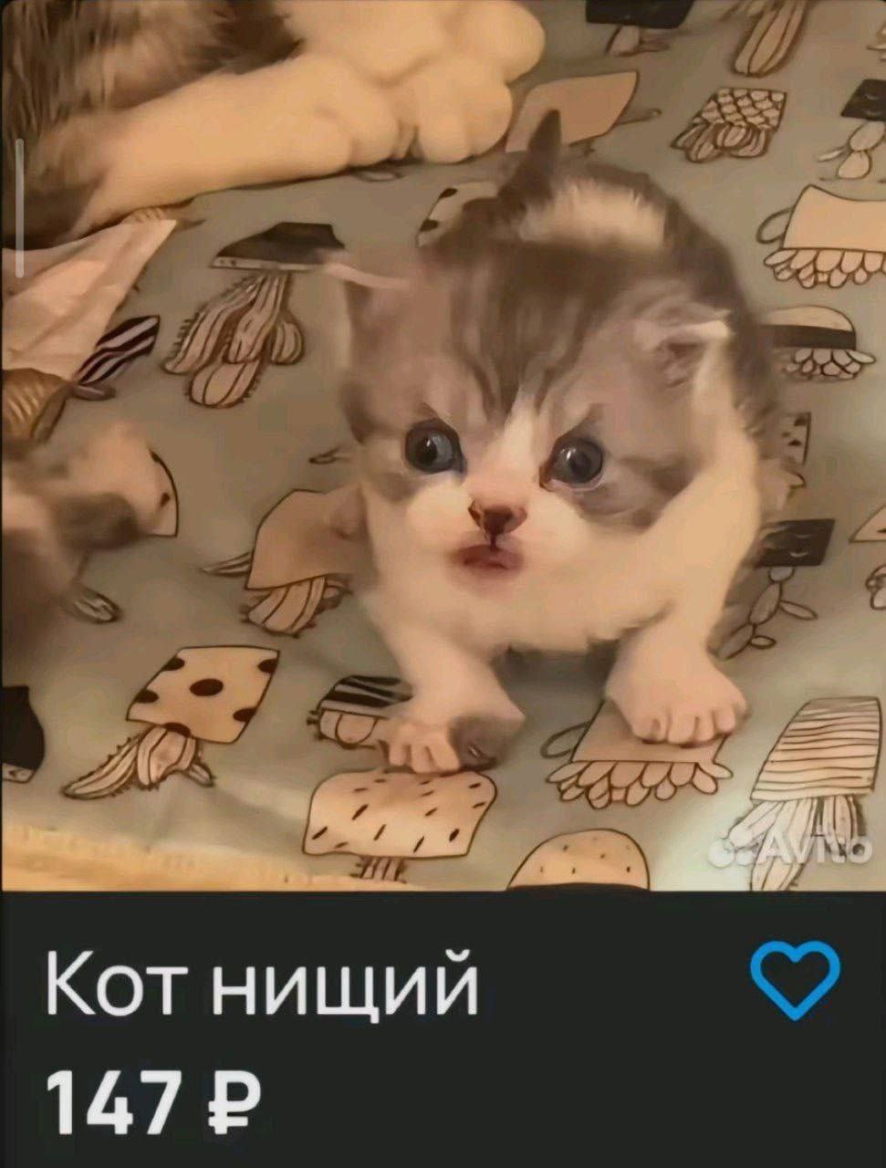 я.