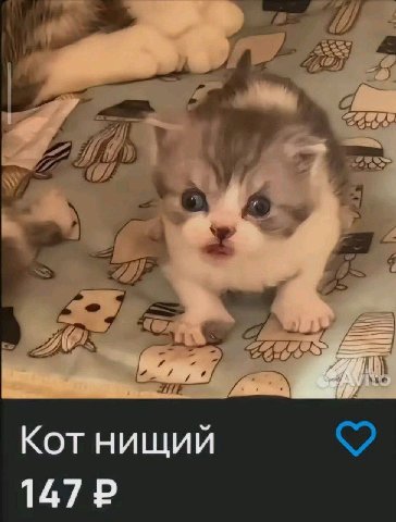 я.