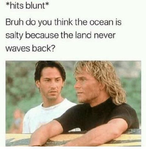 *hits blunt* Bruh you think the ocean is salty because the land never waves back?