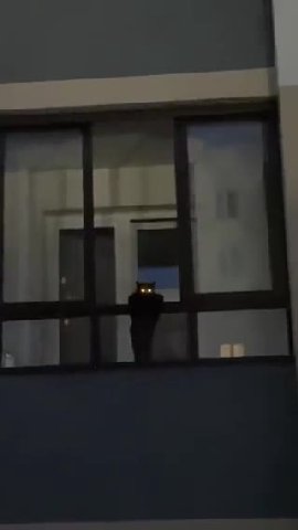 мем