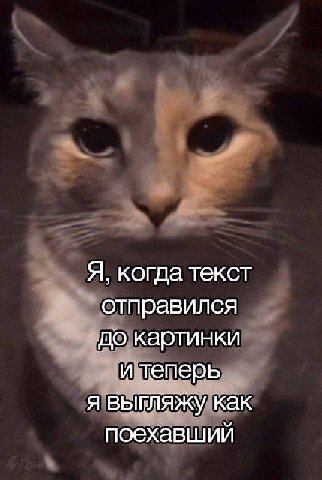 Я, когда текст отправился до картинки и теперь я выгляжу как поехавший