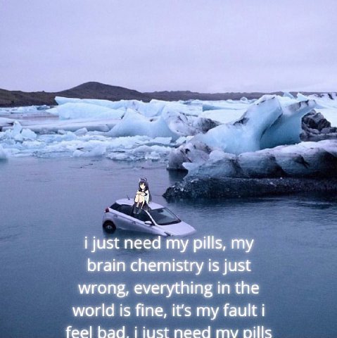 i just need my pills, brain chemistry is just wrong, everything in the world is fine, it’s my fault i feel Бад. i iust need pills