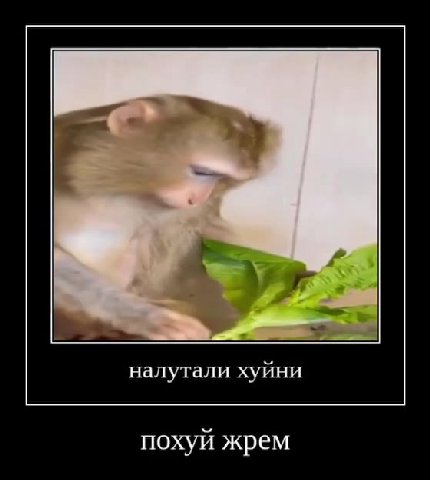 налутали хуйни похуй жрем