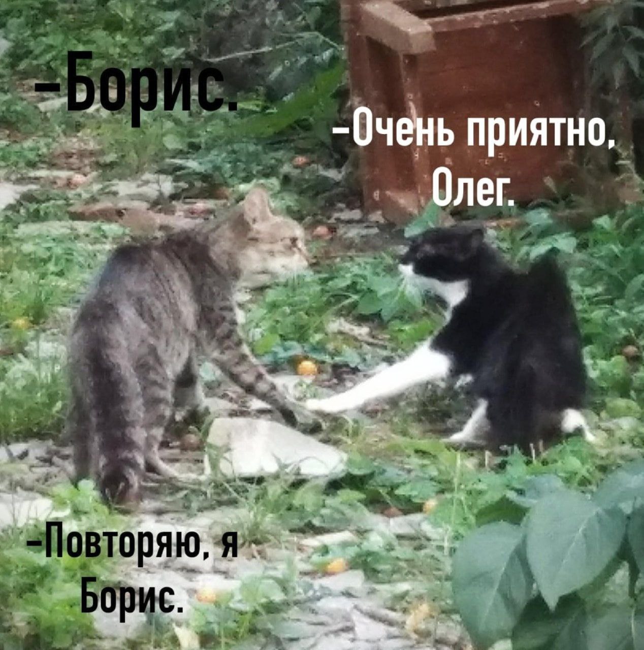 -Очень приятно, Олег.