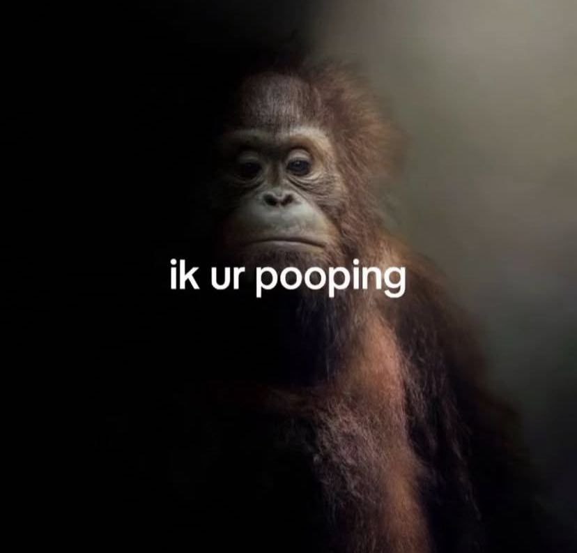pooping