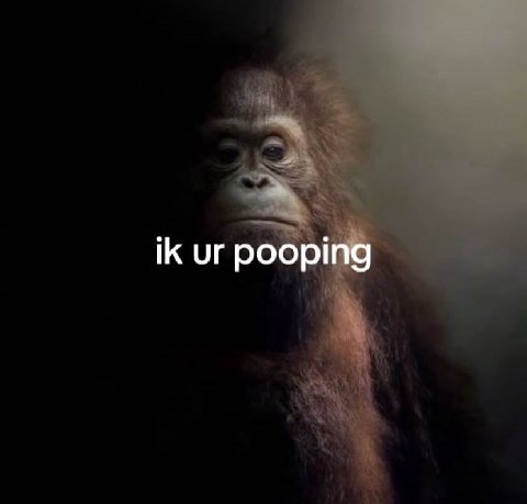 pooping