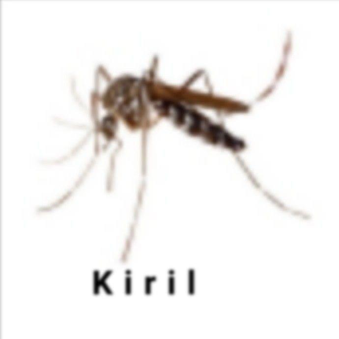 Kiril