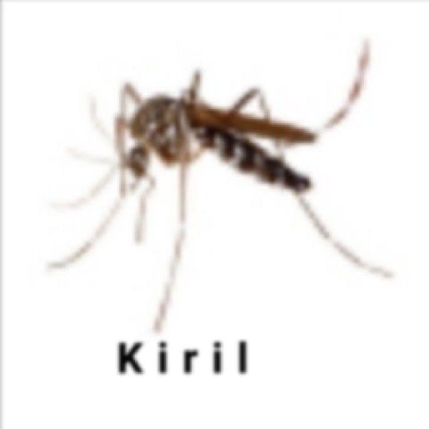 Kiril