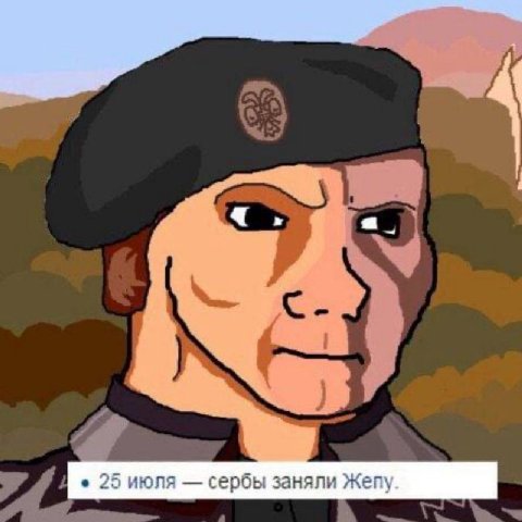 25 июля сербы заняли Жепу.