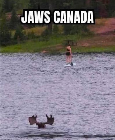 JAWS CANADA