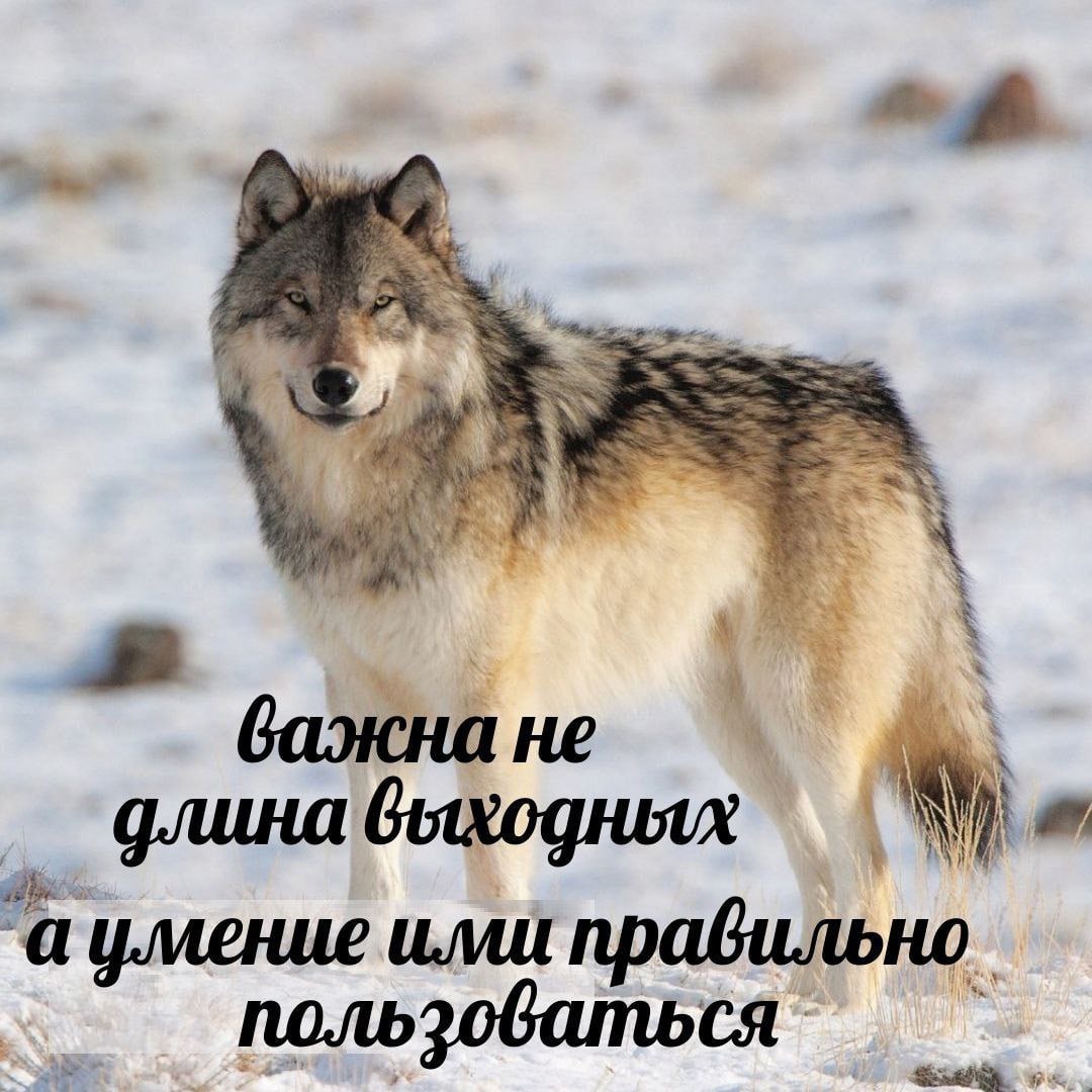 A бажна не длина выходных `а умение ими правильно.