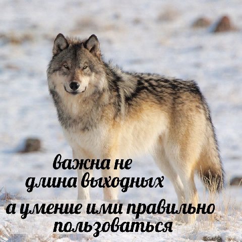 A бажна не длина выходных `а умение ими правильно.