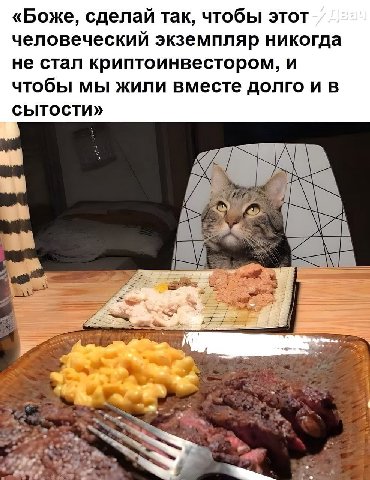 «Боже, сделай так, чтобы этот человеческий экземпляр никогда не стал криптоинвестором, и чтобы мы жили вместе долго и в сытости» 4