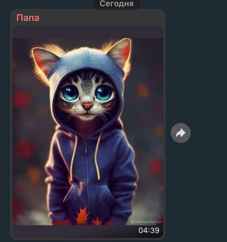 Сегодня Папа 04:39