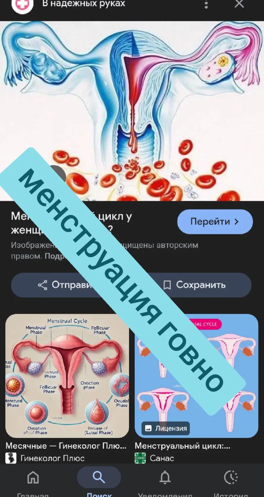 дежных руках LEA 6 55 a Me икл у жен 9 Изображе ищены авторским правом. Под Отправ Сохранить Menstrual Cycle Menstrura! Phase ual Phas 9 Follicuar Phase phas 2 ens ase Ovualal ase Ovuation Phase Lutea