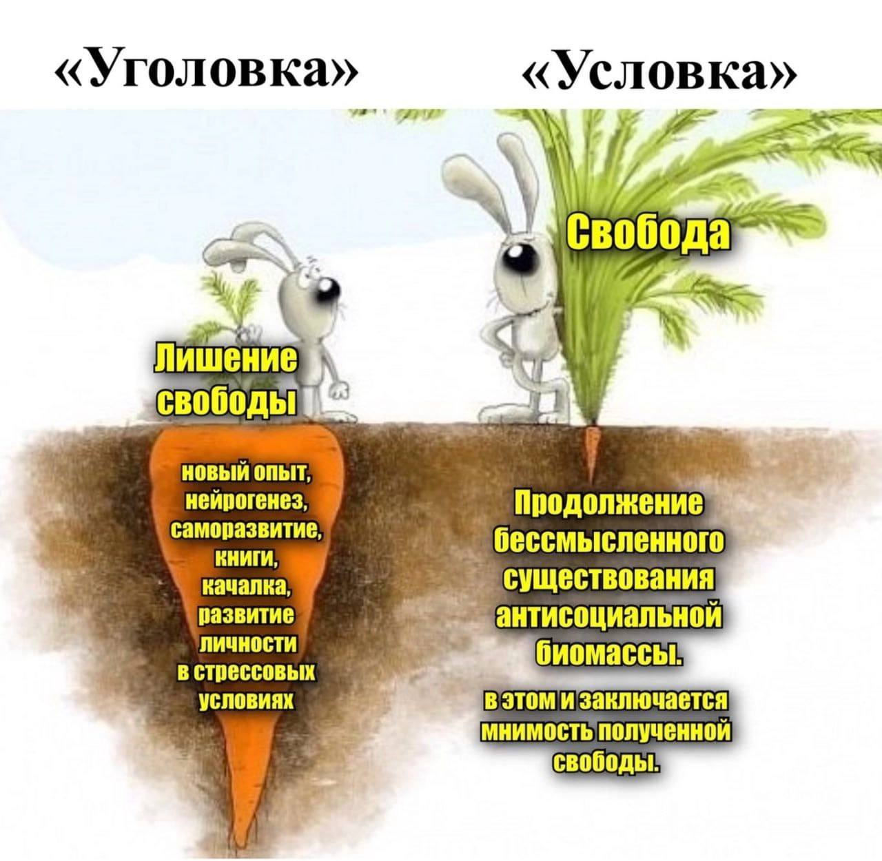 «Уголовка» САГА «Условка» Свобода Лишение А свободы новый опыт, нейрогенез, саморазвитие, бессмысленного КНИГИ, существования качалка, развитие Личности антисоциальной в стрессовых биомассы условиях