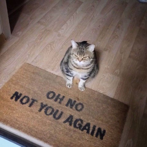 No