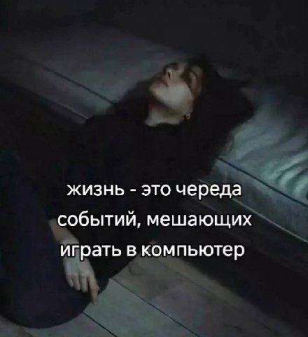 жизнь это череда событий, мешающих играть в компьютер