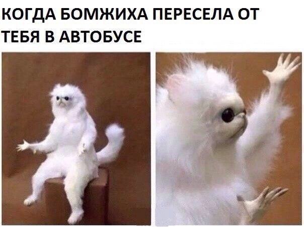 КОГДА БОМЖИХА ПЕРЕСЕЛА ОТ ТЕБЯ В АВТОБУСЕ