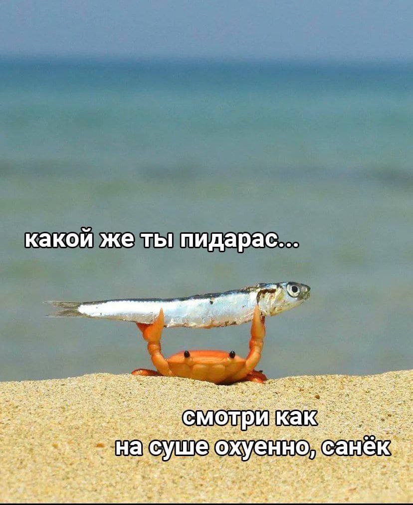 какои же ты пидарас... Me С уше енно He
