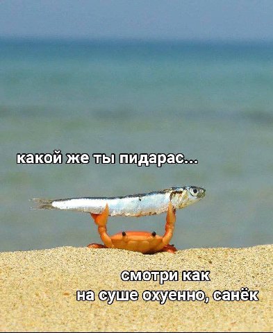 какои же ты пидарас... Me С уше енно He