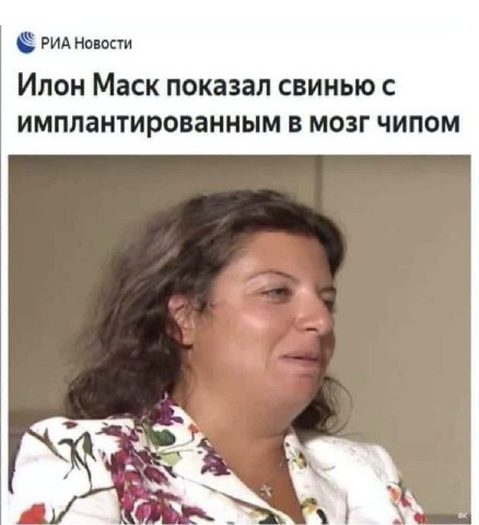 РИА Новости Илон Маск показал свинью с имплантированным в мозг чипом