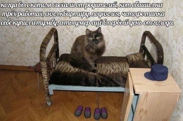 COQUULTUHG 2°49 когда an снял трёх работах шру cede купил UGeHb Yum