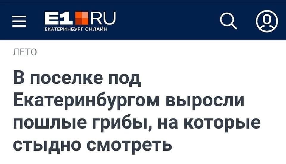 КАТЕРИНБУРГ ОНЛАЙН а JIETO В поселке под Екатеринбургом выросли пошлые грибы, на которые стыдно смотреть