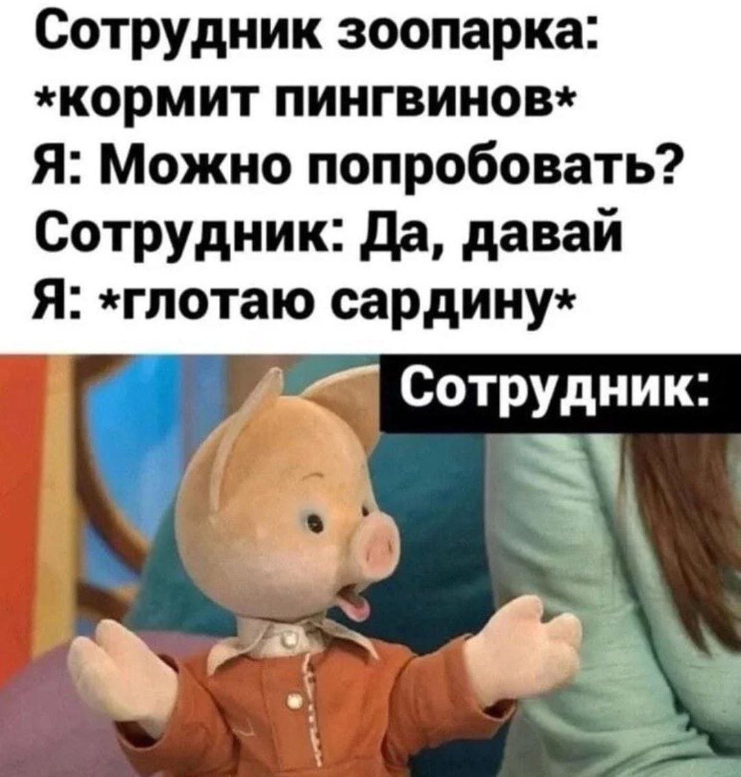 Сотрудник зоопарка *КОрмит пингвинов* Я: Можно попробовать? Сотрудник: Да, даваи Я: «глотаю сардину* Сотрудник: