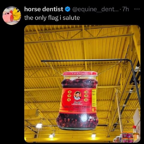 horse dentist the only flag i salute и i