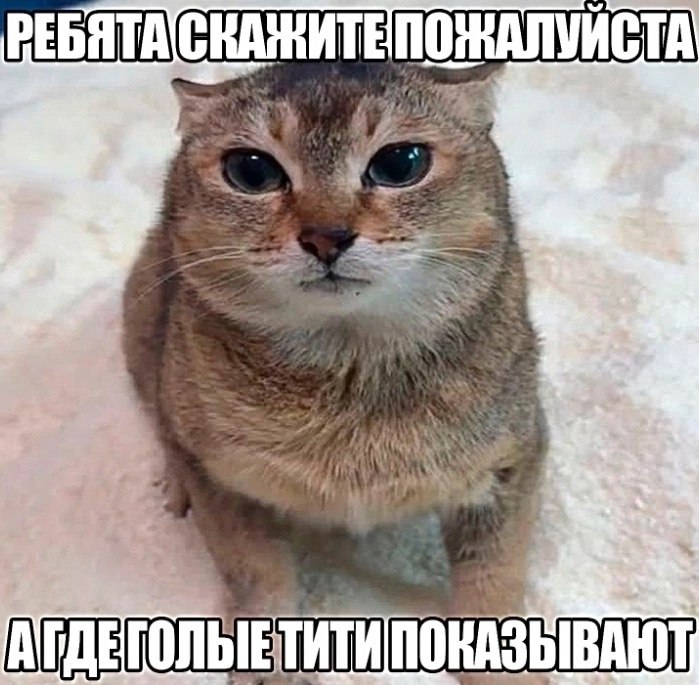 у К So 4