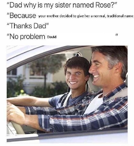 “Dad why is my sister named Rose?” "Because your mother decided to give her a normal, traditional name “Thanks Dad" “No problem 9