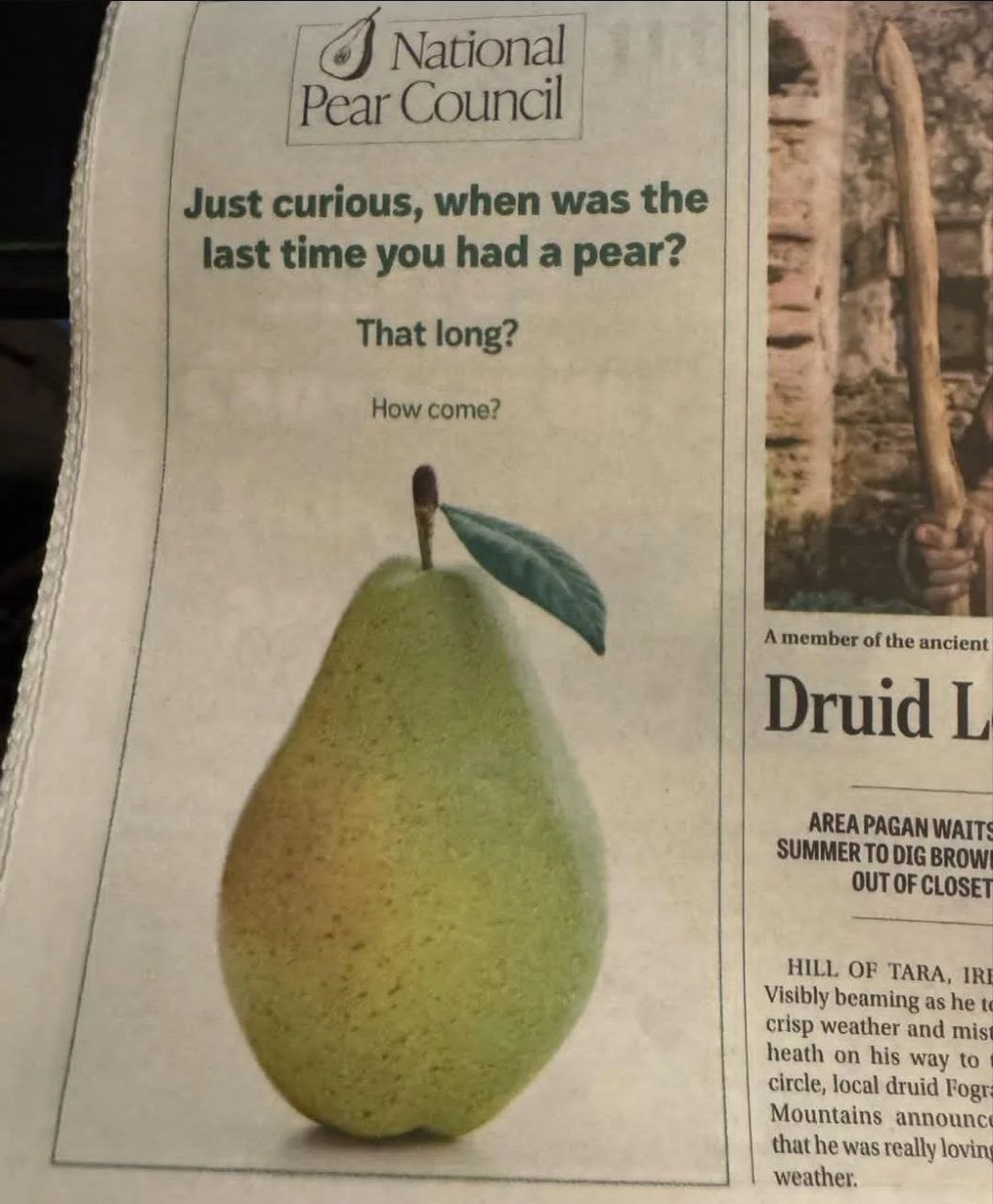 National Pear Just curious, when was the last time you had a pear? That long? How come? А of the ancient Druid AREA PAGAN SUMMER TO DIG BROW: CLOSET HILL OF TARA, IRI Visibly beaming as he Crisp weath