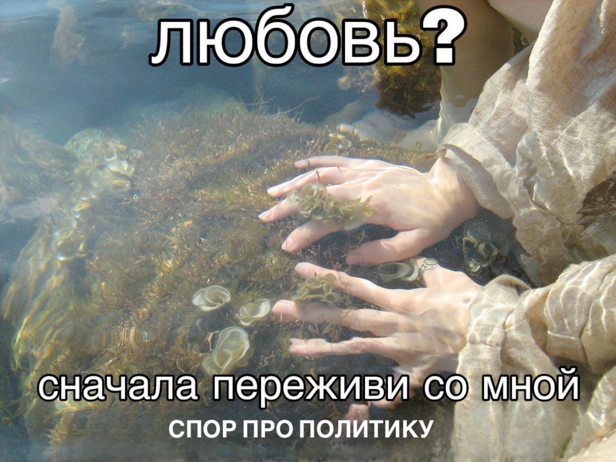 любовь? сначала переживи” МНОЙ СПОР ПРО ПОЛИТИКУ