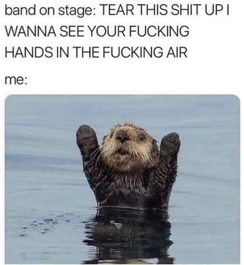 band on stage: TEAR THIS SHIT UP WANNA SEE YOUR FUCKING HANDS IN THE FUCKING AIR me: